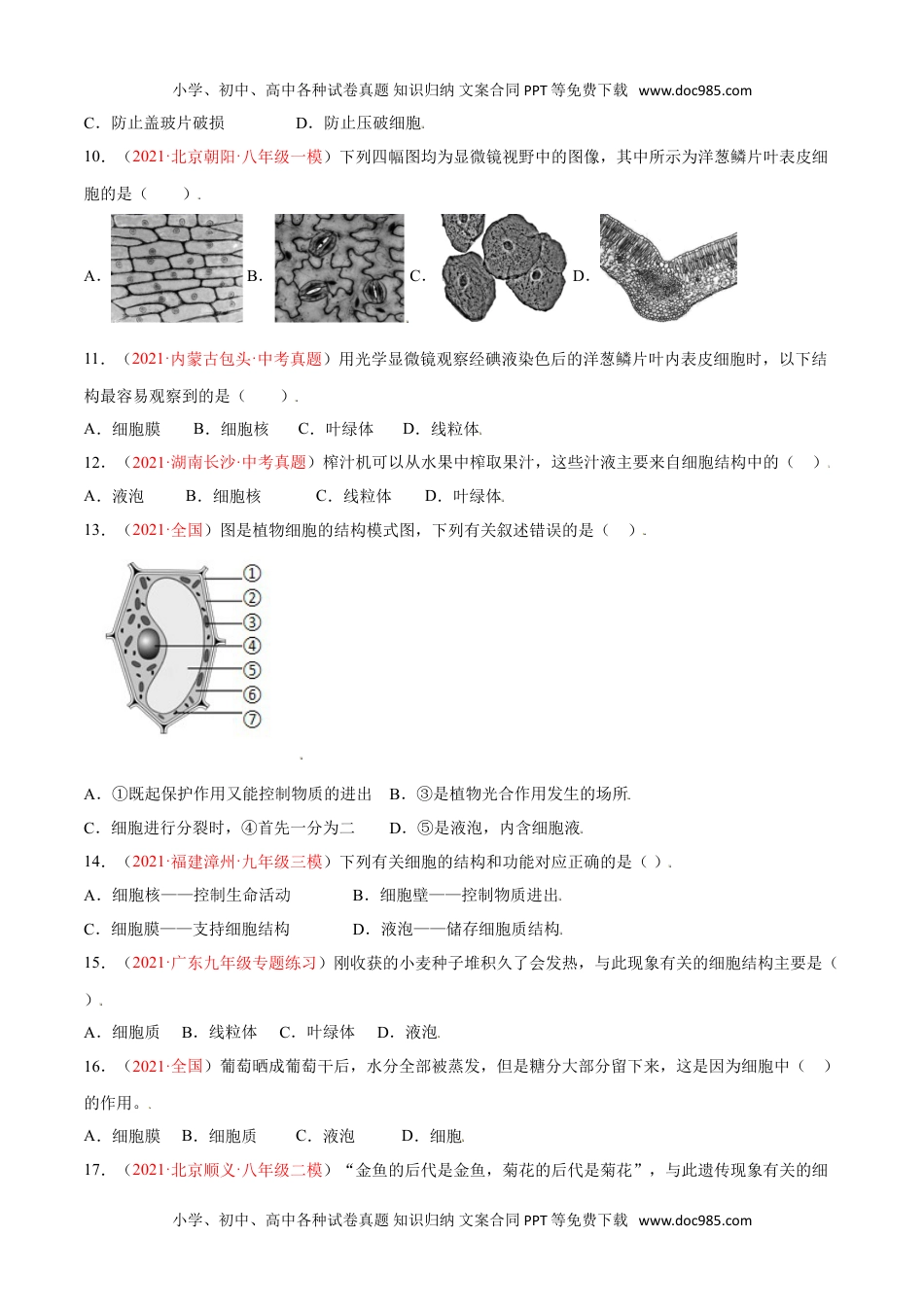 初中七年级生物上册第02单元第01章   细胞是生命活动的基本单位单元测试（B卷·提升能力）（原卷版） .doc