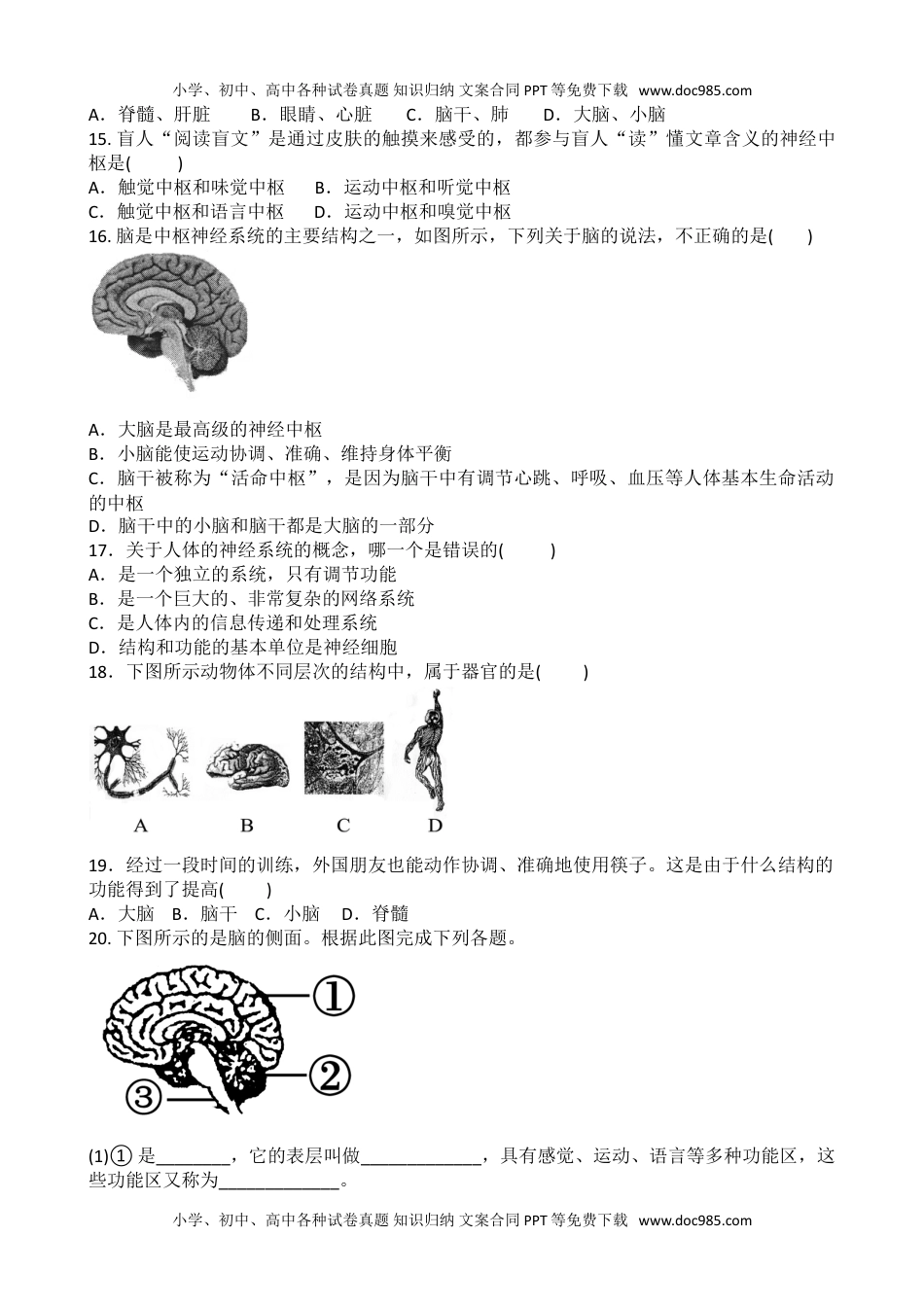 初中七年级生物下册第六章  第二节　神经系统的组成 同步练习题 含答案.doc