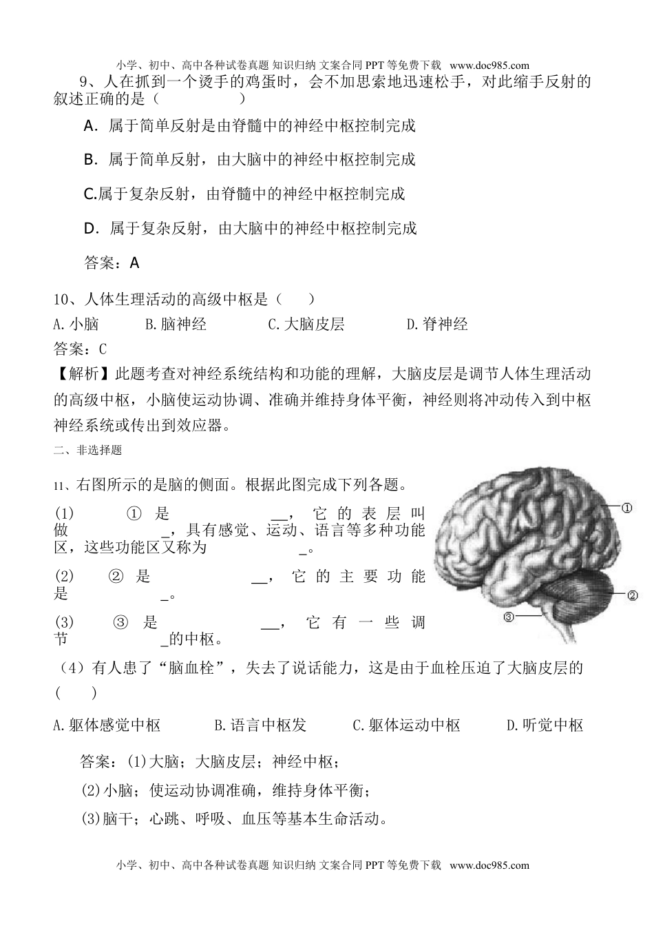 初中七年级生物下册6-2  神经系统的组成 同步练习 含答案.doc