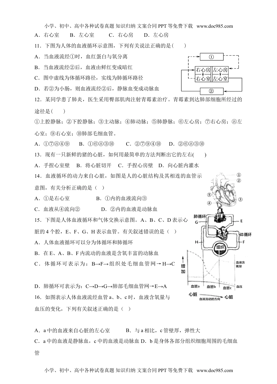 初中七年级生物下册输送血液的泵——心脏同步训练（含答案）.doc