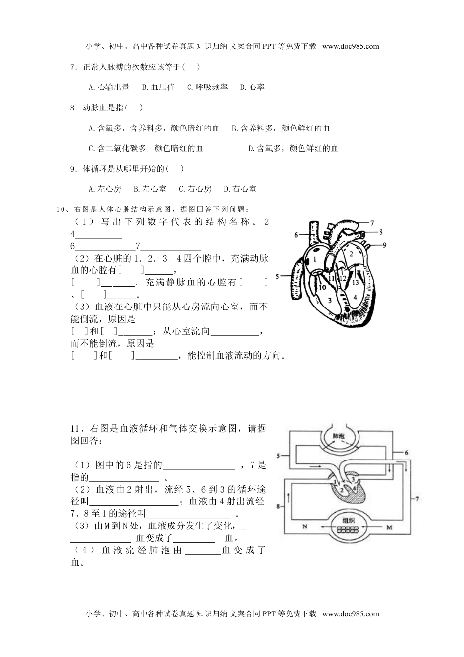 初中七年级生物下册第三节 输送血液的泵 课时训练 含答案.doc