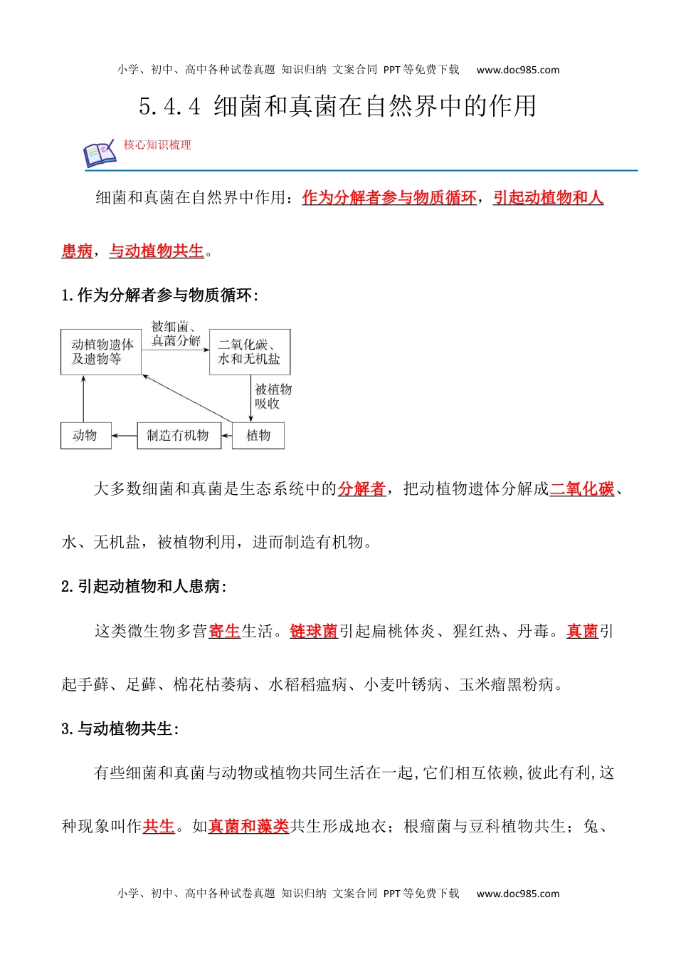 5.4.4 细菌和真菌在自然界中的作用-2022-2023学年八年级生物上册课后培优分级练（人教版）（解析版）.docx