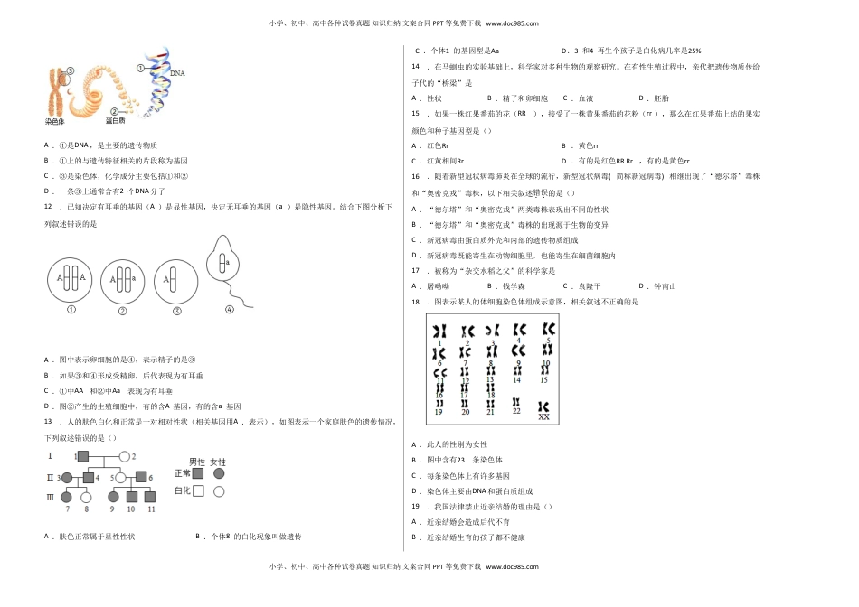 第二单元 生物的遗传与变异（选拔卷）-【单元测试】2021-2022学年八年级生物下册尖子生选拔卷（人教版）（考试版）.doc