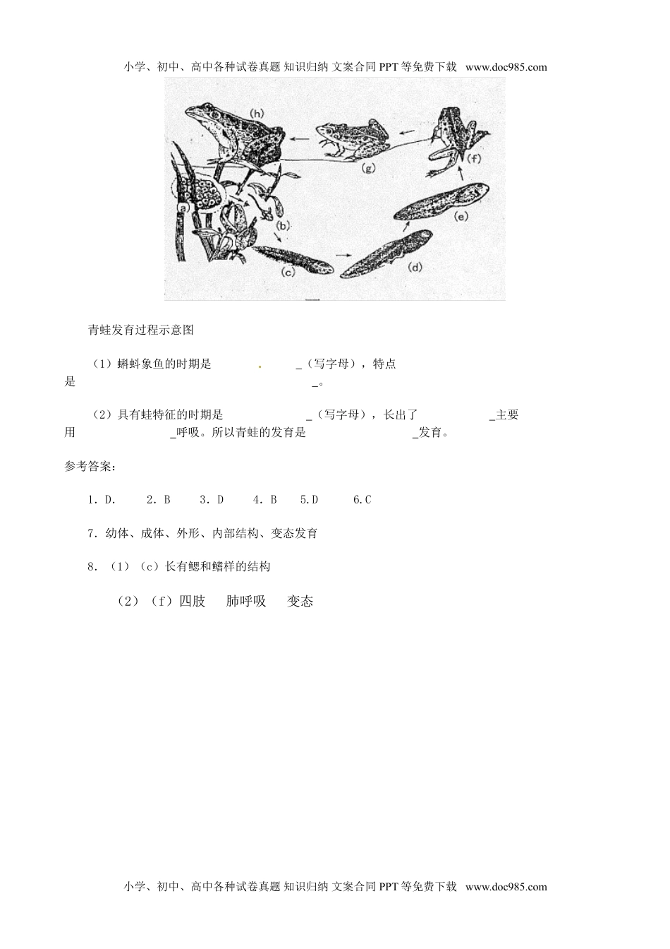 初中八年级生物下册7.1.3 两栖动物的生殖和发育 同步练习3 含答案.doc