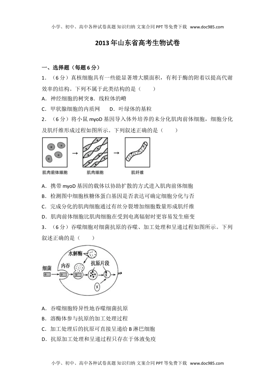 2013年山东省高考生物试卷往年高考真题.doc