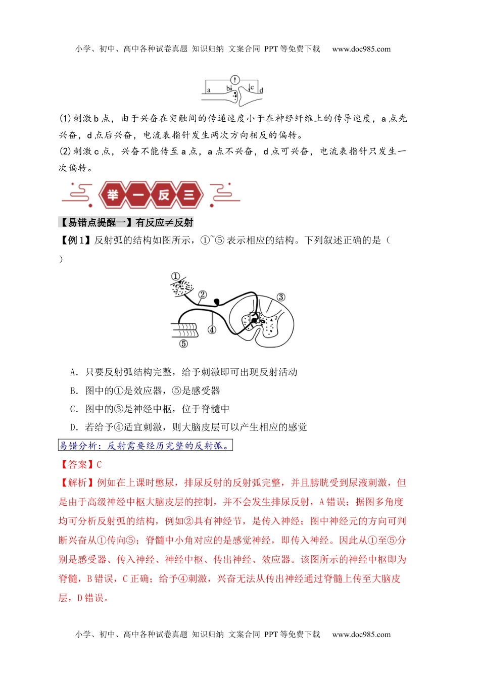 【高考生物】备战2024年（新高考专用）易错点11 神经调节的“四个”注意（解析版）.docx