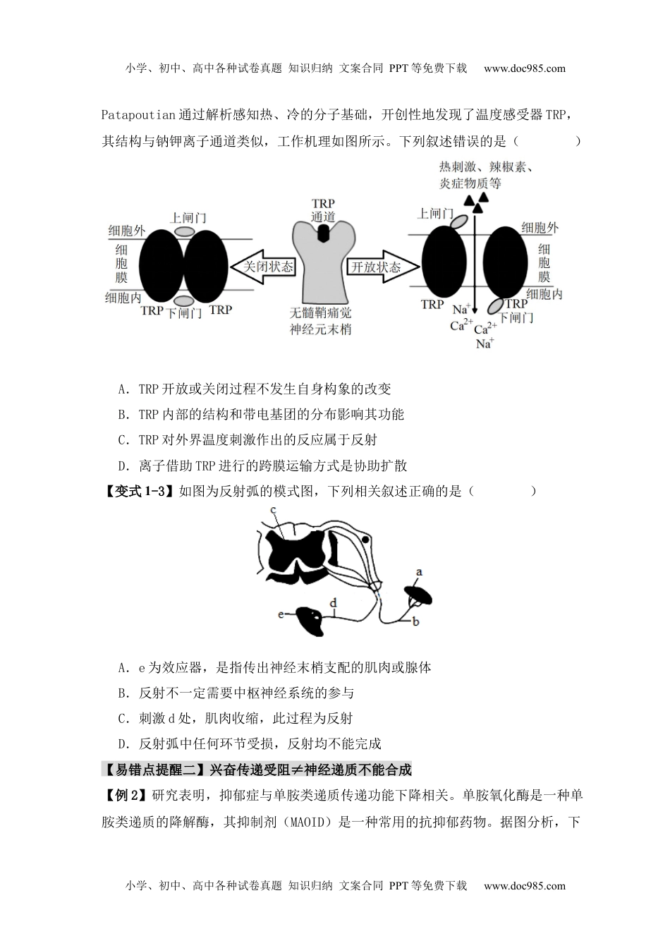 【高考生物】备战2024年（新高考专用）易错点11 神经调节的”四个“注意（原卷版）.docx