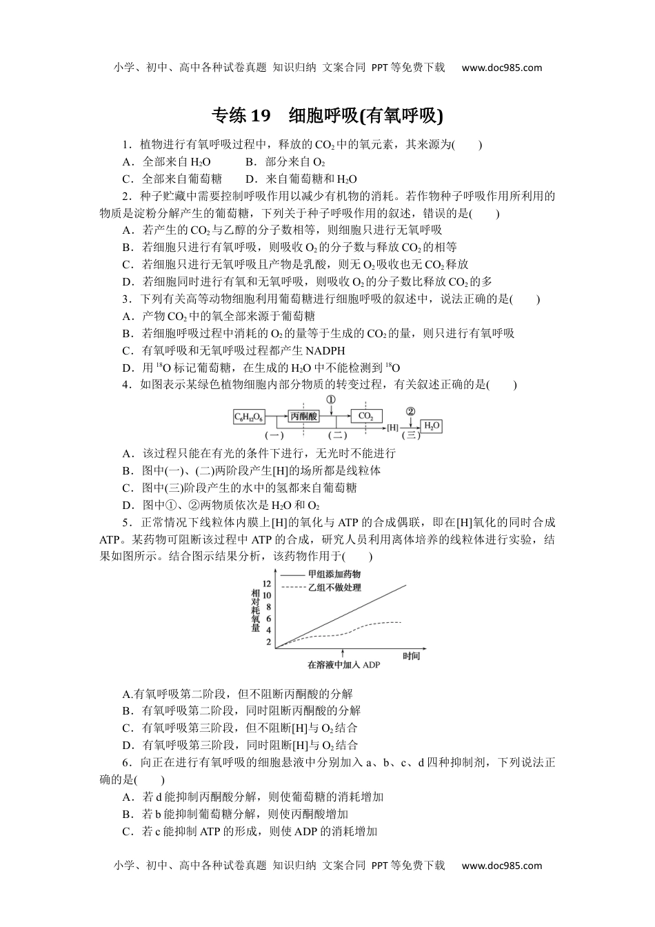 高中2023《微专题·小练习》·生物专练19　细胞呼吸(有氧呼吸).docx