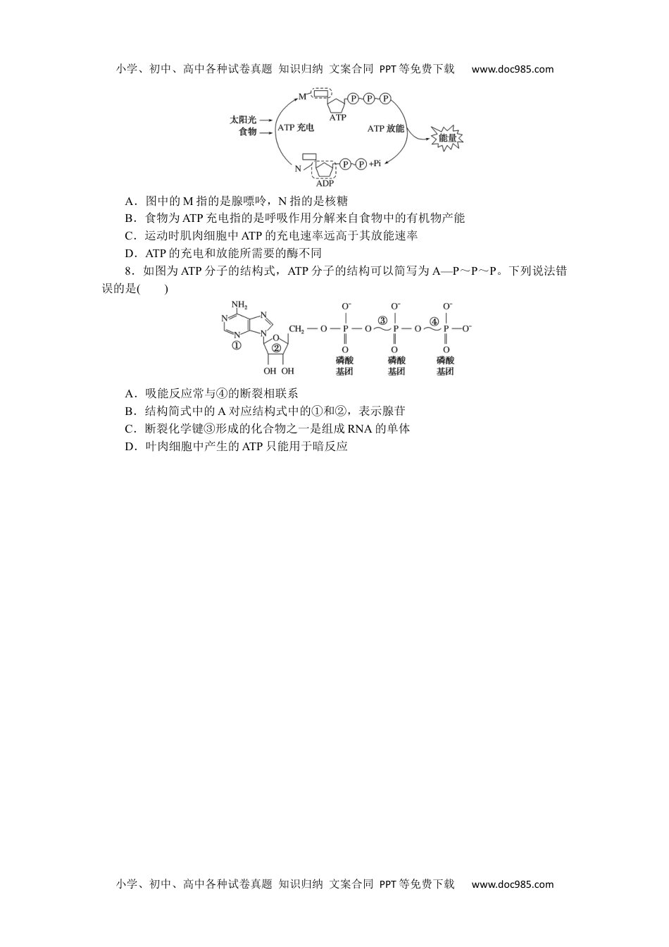 高中2023《微专题·小练习》·生物专练18　细胞的能量“通货”——ATP.docx