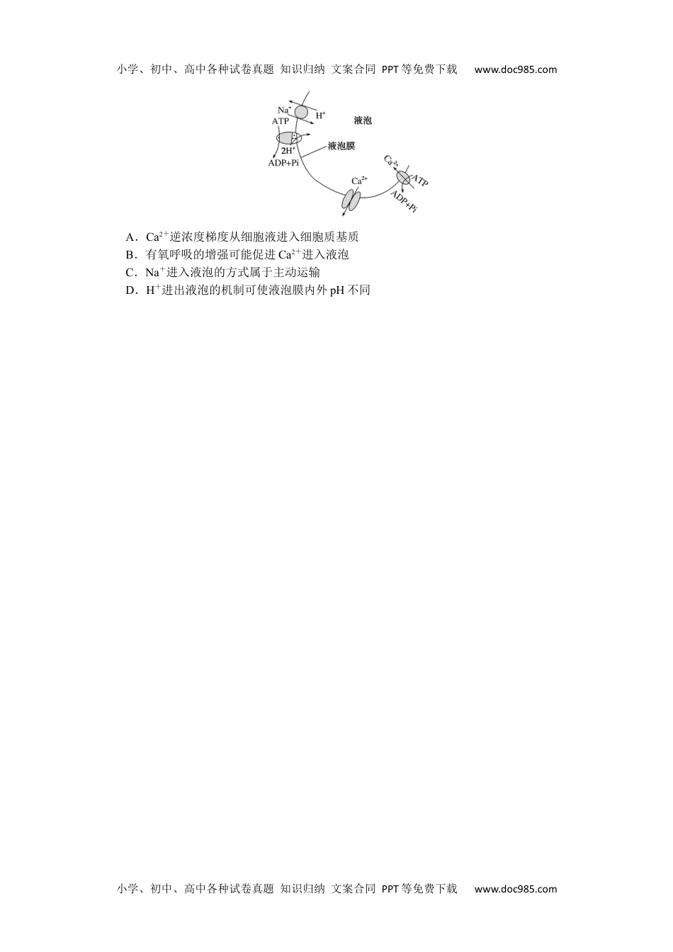 高中2023《微专题·小练习》·生物专练13　物质跨膜运输的方式.docx