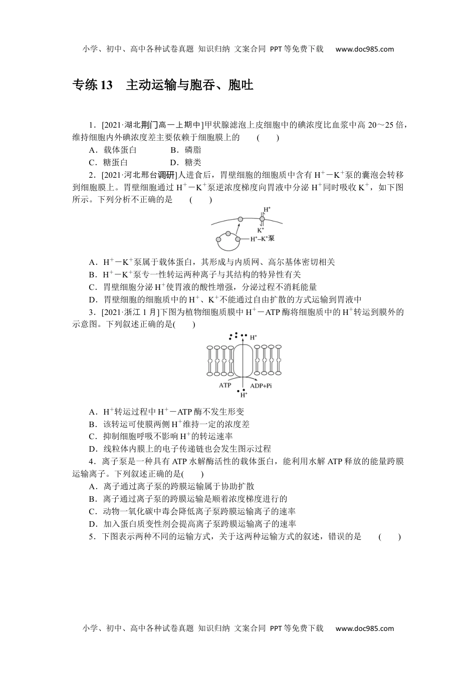 高中2022·微专题·小练习·生物【新高考】专练 13.docx