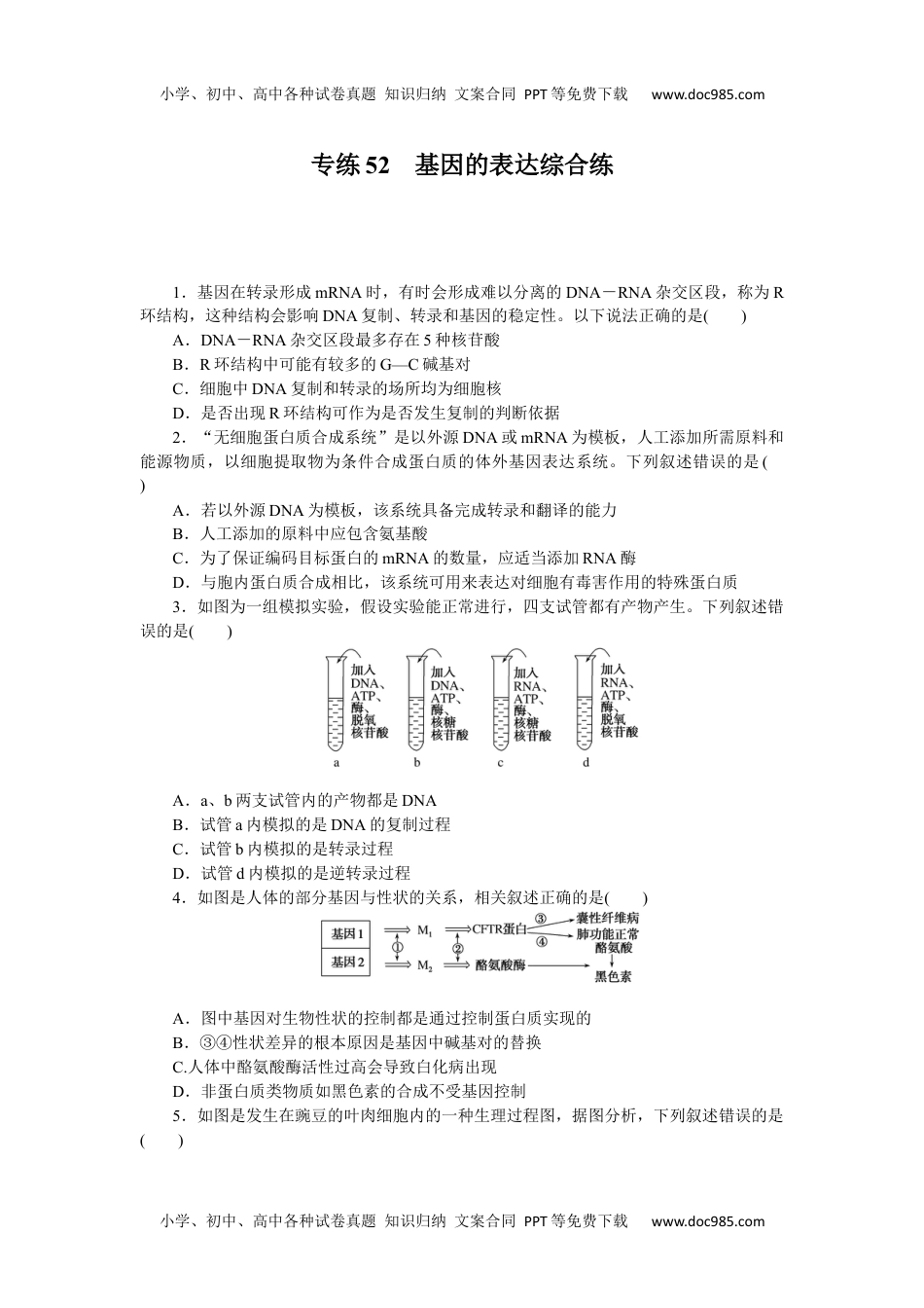 高中2023《微专题·小练习》·生物·新教材·XL-7专练52　基因的表达综合练.docx