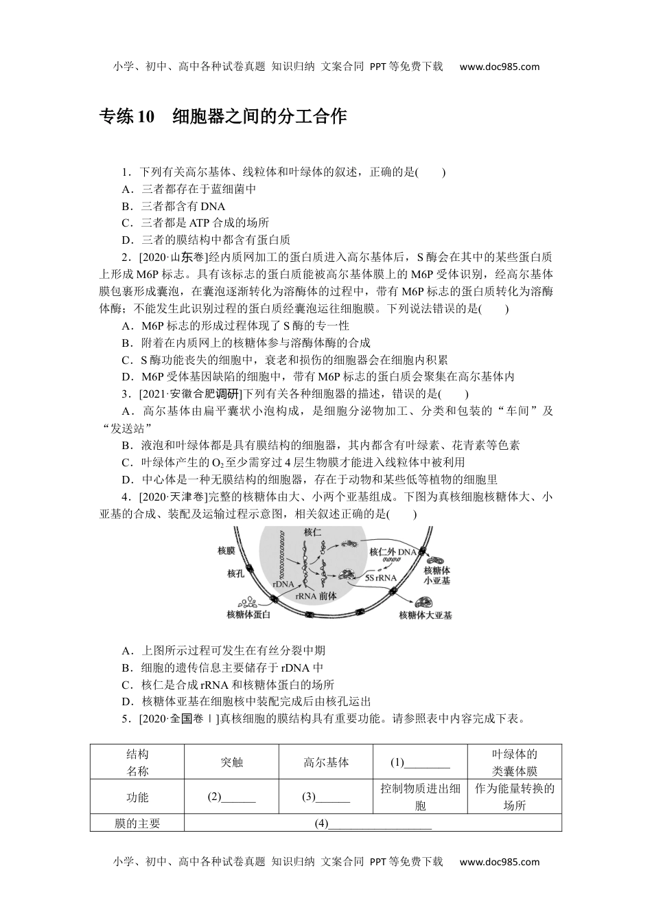 高中2022·微专题·小练习·生物【新高考】专练 10.docx