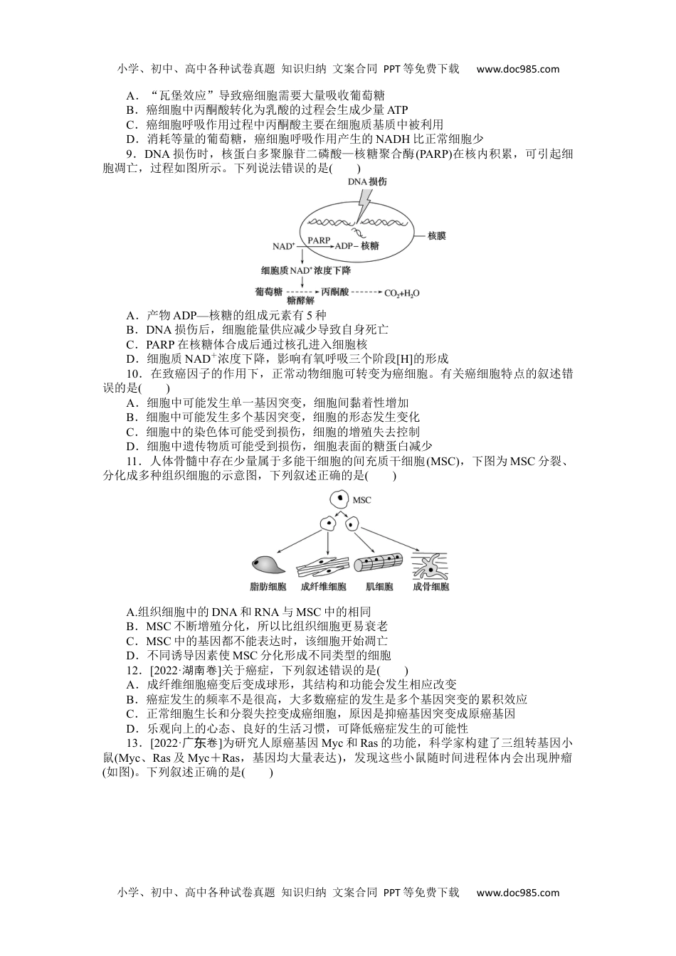 高中2024版《微专题》·生物·统考版专练31.docx