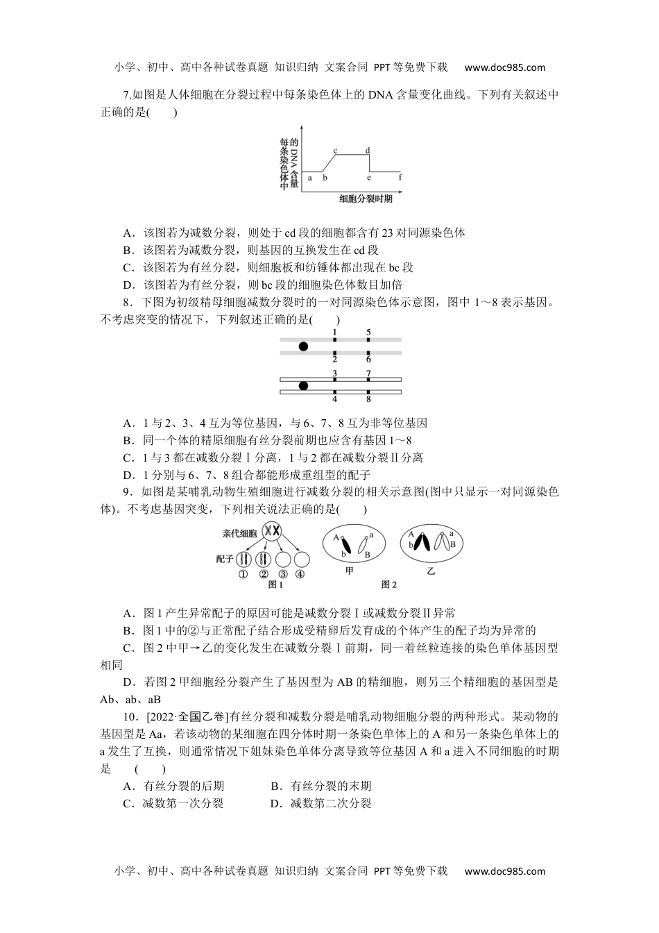 高中2023《微专题·小练习》·生物·新教材·XL-7专练42　减数分裂与有丝分裂的比较.docx