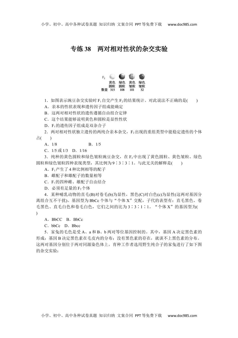 高中2023《微专题·小练习》·生物·新教材·XL-7专练38　两对相对性状的杂交实验.docx