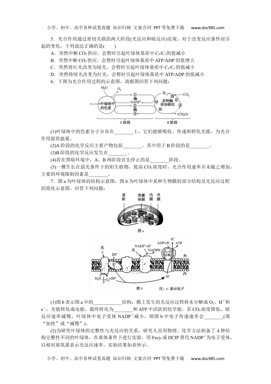 高中2023《微专题·小练习》·生物·新教材·XL-7专练26　光合作用的过程.docx