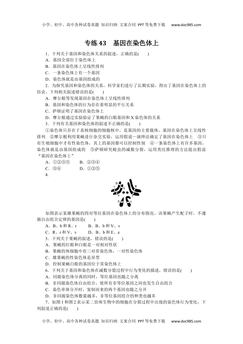 高中2024版《微专题》·生物学·新高考专练43.docx