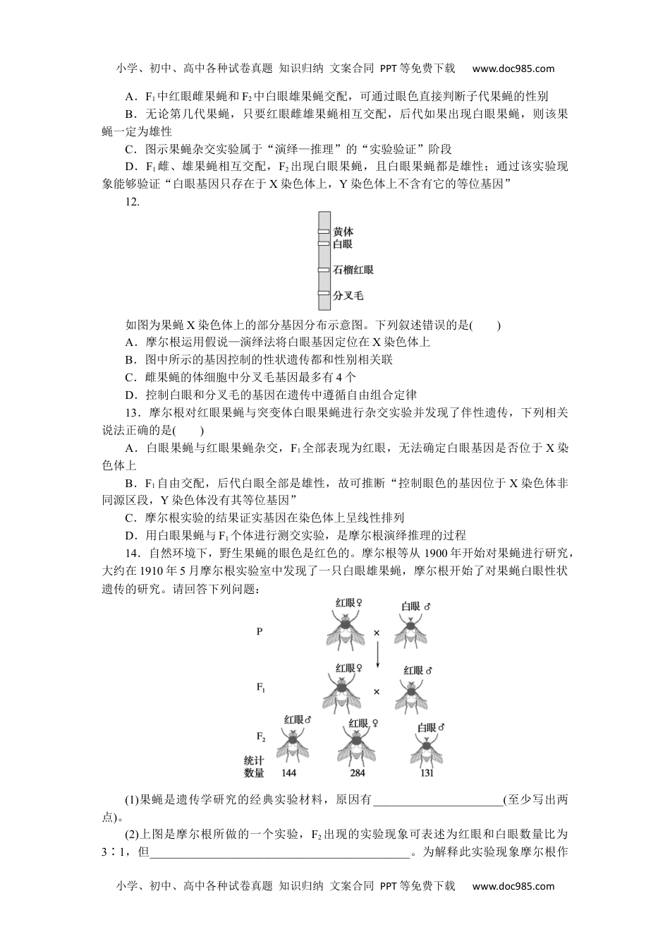 高中2024版《微专题》·生物学·新高考专练43.docx