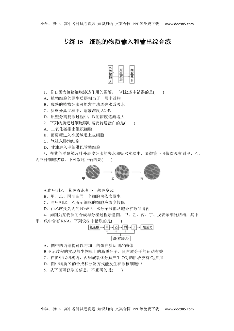 高中2023《微专题·小练习》·生物·新教材·XL-7专练15　细胞的物质输入和输出综合练.docx