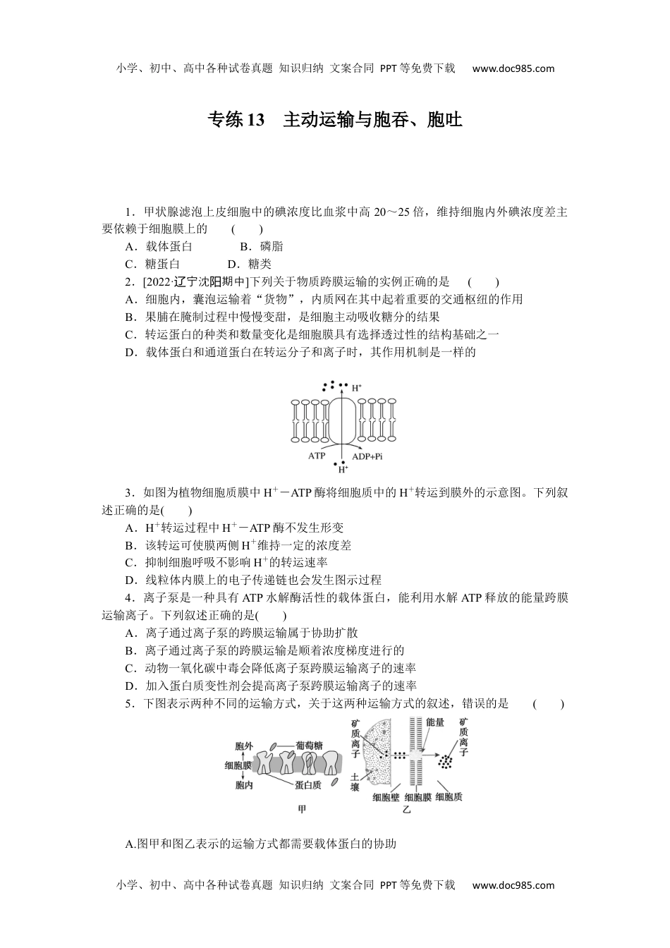 高中2023《微专题·小练习》·生物·新教材·XL-7专练13　主动运输与胞吞、胞吐.docx