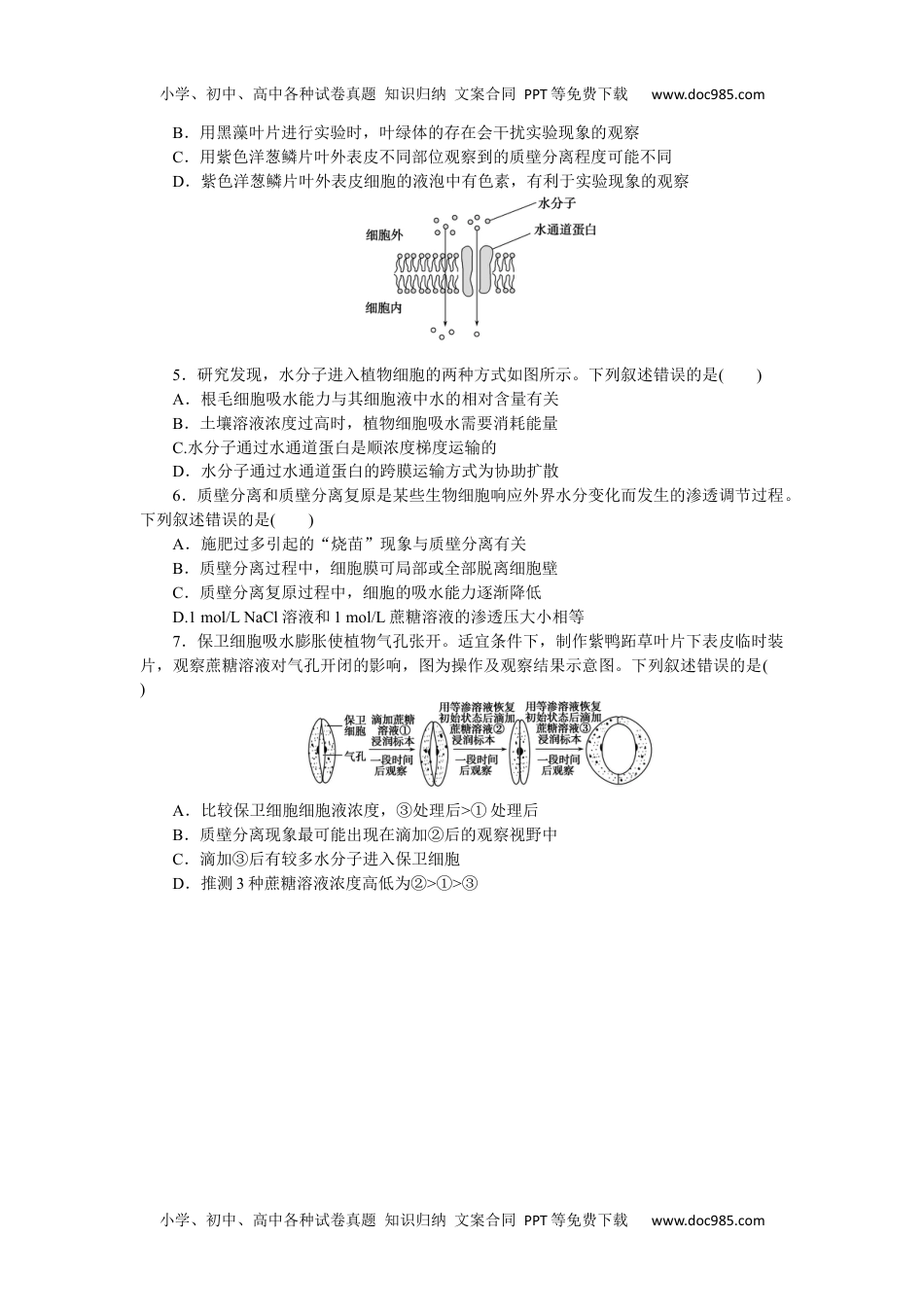 高中2023《微专题·小练习》·生物·新教材·XL-7专练12　被动运输.docx