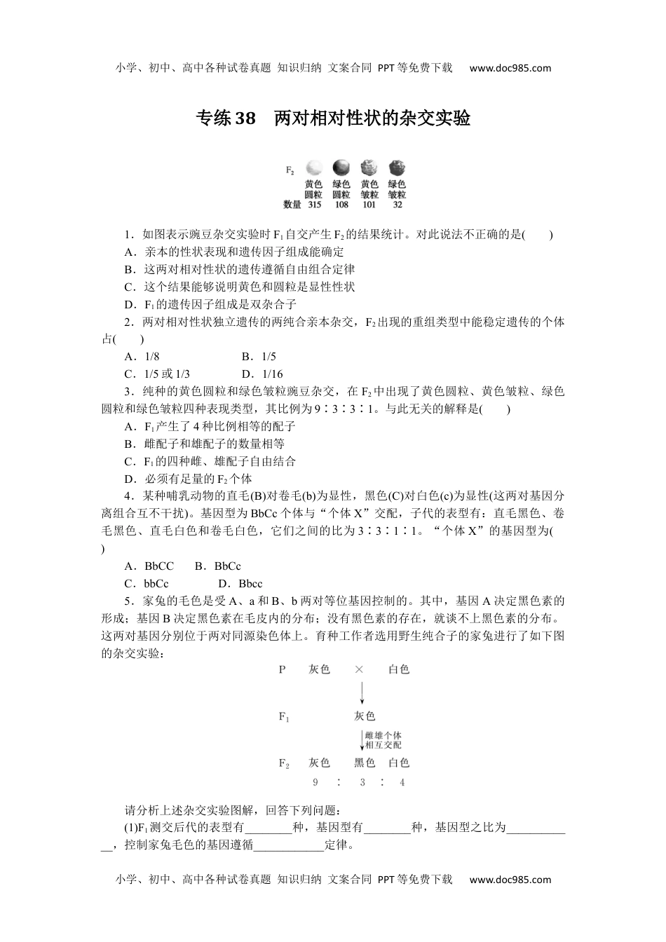 高中2024版《微专题》·生物学·新高考专练38.docx