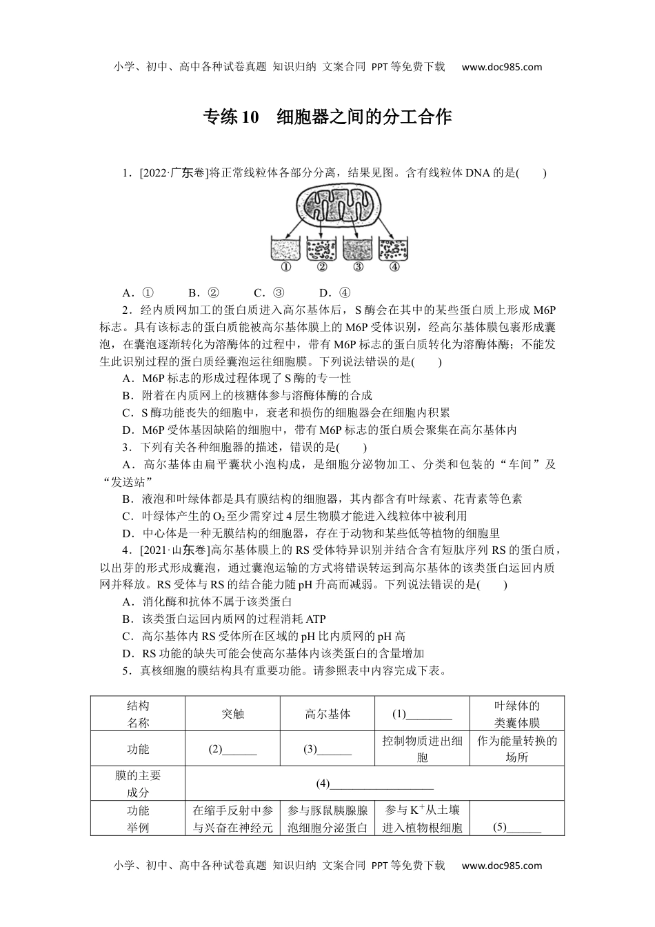 高中2023《微专题·小练习》·生物·新教材·XL-7专练10　细胞器之间的分工合作.docx