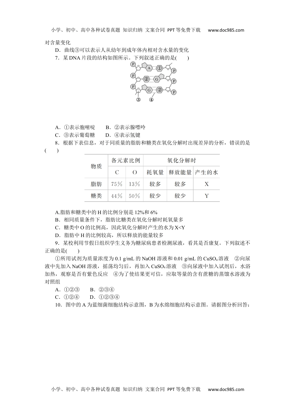 高中2023《微专题·小练习》·生物·新教材·XL-7专练8　组成细胞的分子综合练.docx