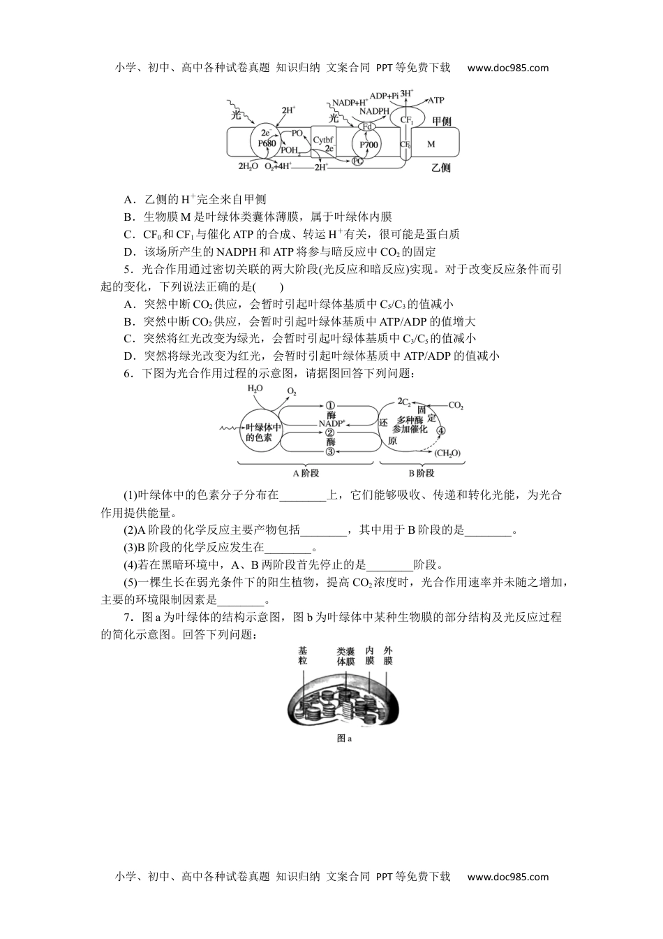 高中2024版《微专题》·生物学·新高考专练26.docx