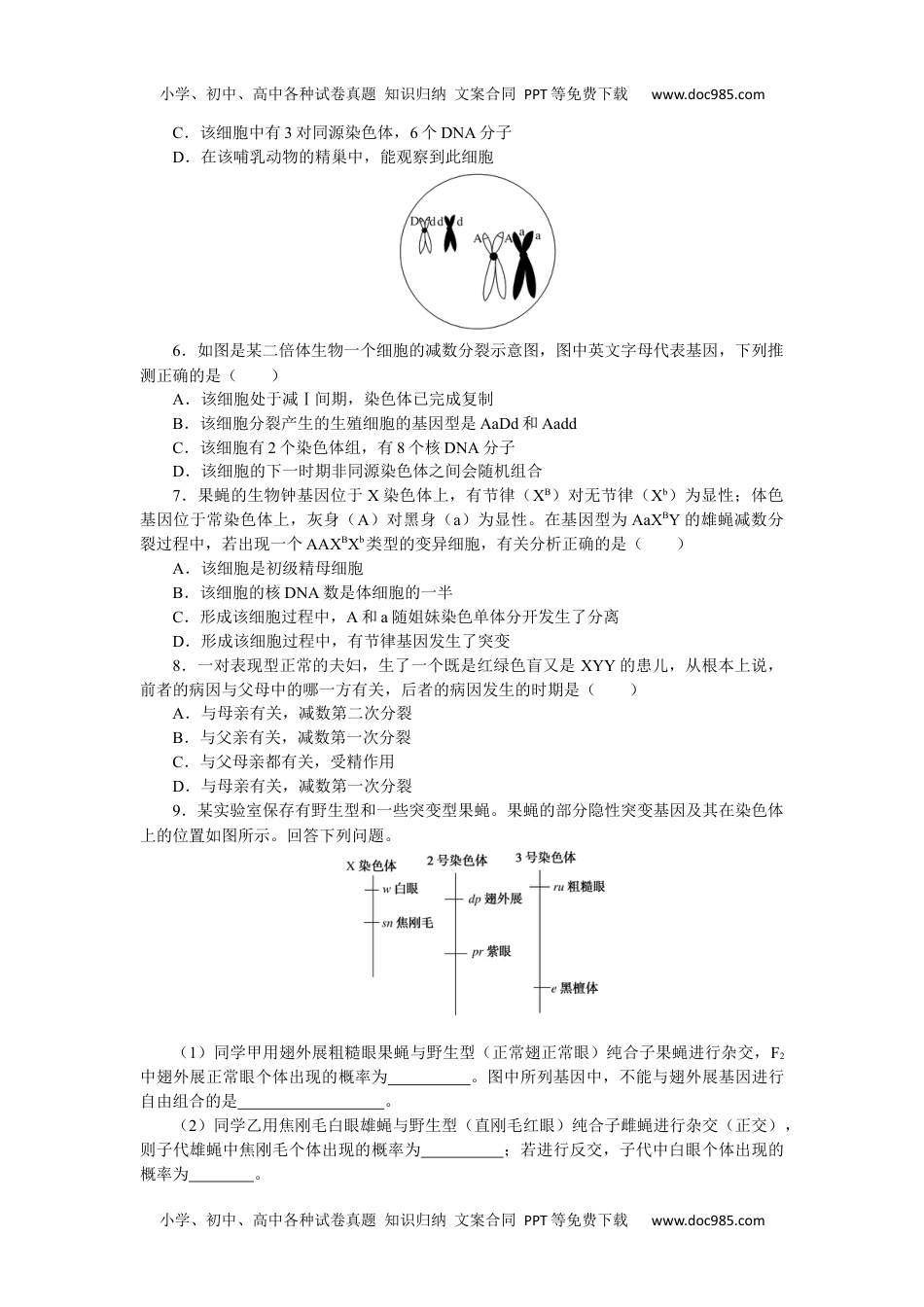 高中2023《微专题·小练习》·生物专练94　基因和染色体的关系综合练.docx