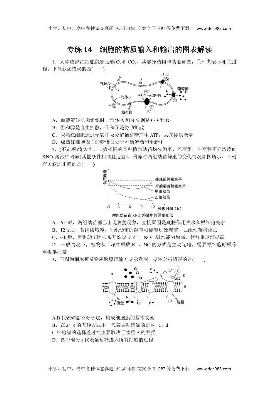 高中2024版《微专题》·生物学·新高考专练14.docx