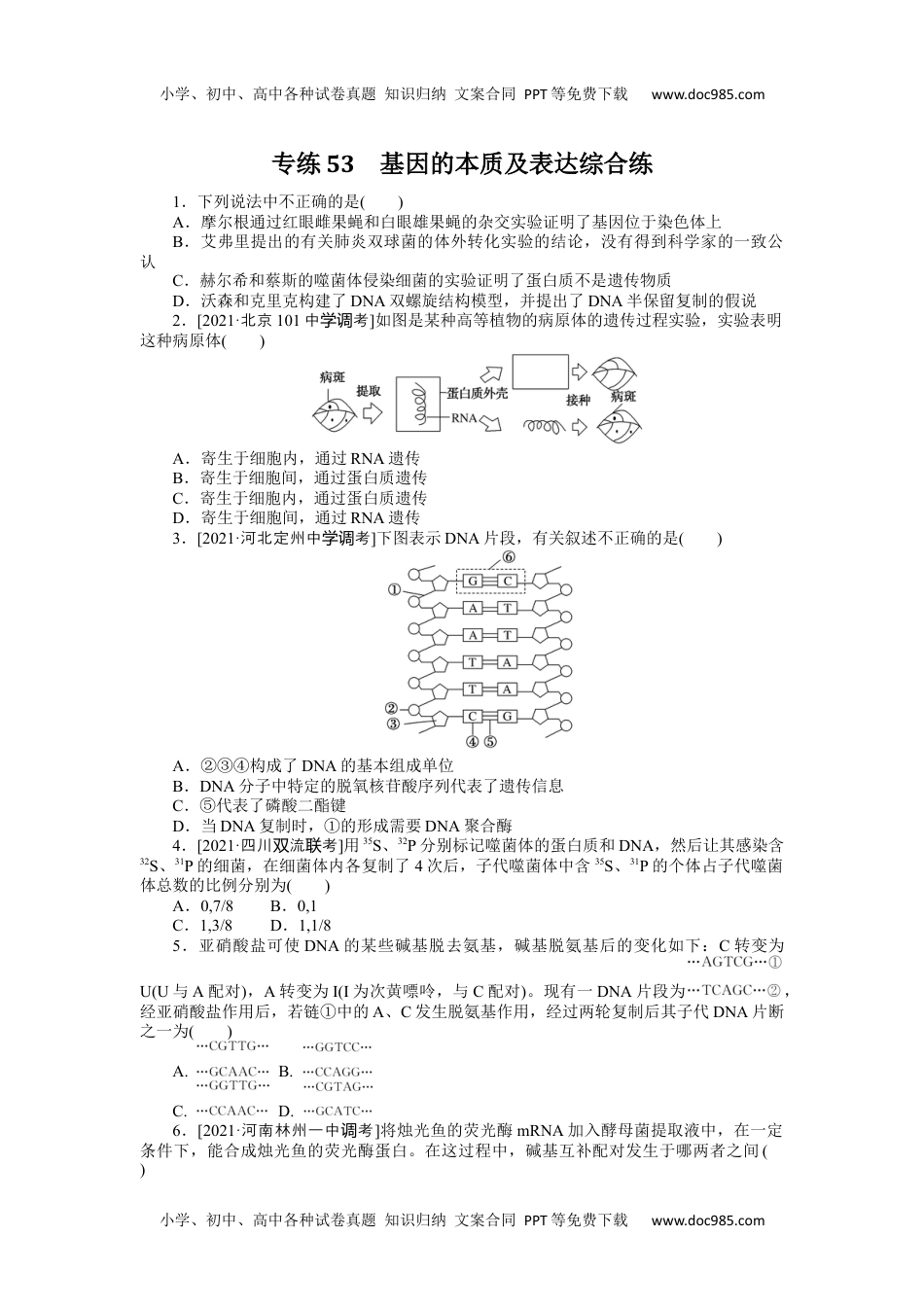 高中2022·微专题·小练习·生物【统考版】专练53.docx