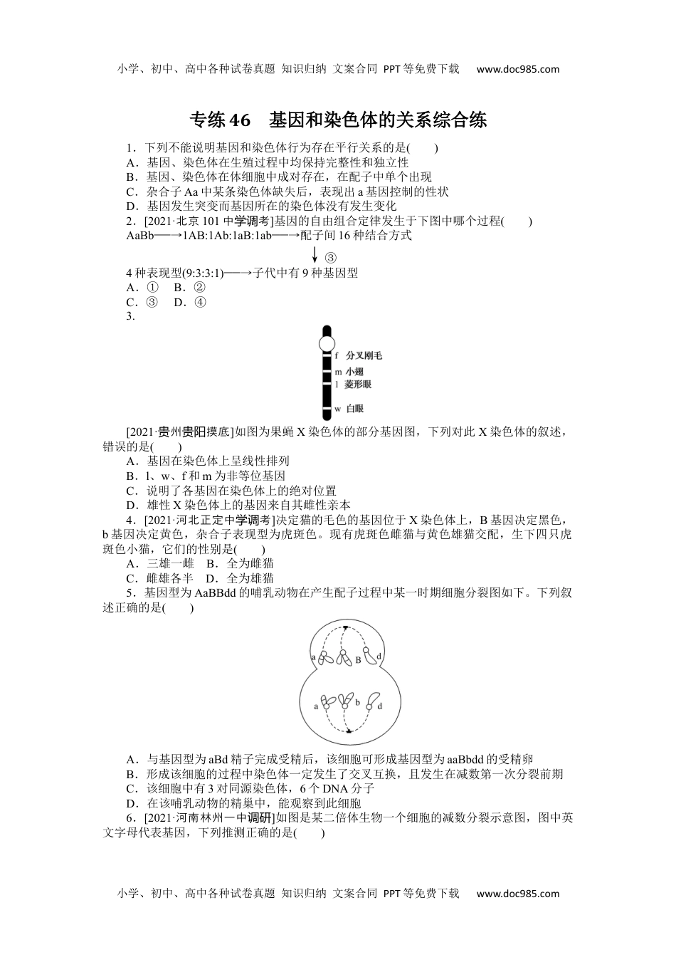 高中2022·微专题·小练习·生物【统考版】专练46.docx