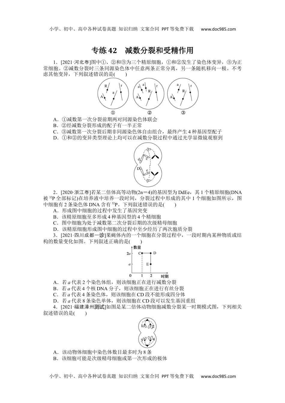 高中2022·微专题·小练习·生物【统考版】专练42.docx