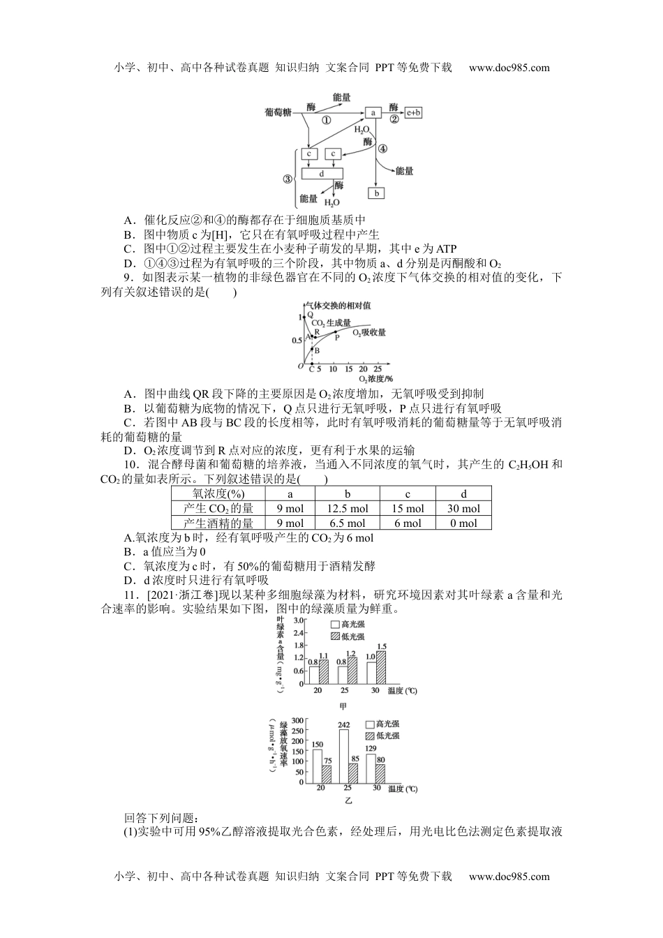 高中2022·微专题·小练习·生物【统考版】专练31.docx