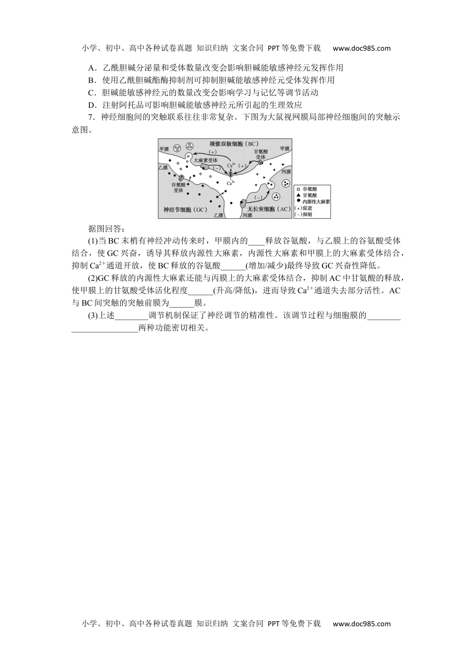 高中2023《微专题·小练习》·生物专练60　神经调节(兴奋在神经元之间的传递).docx