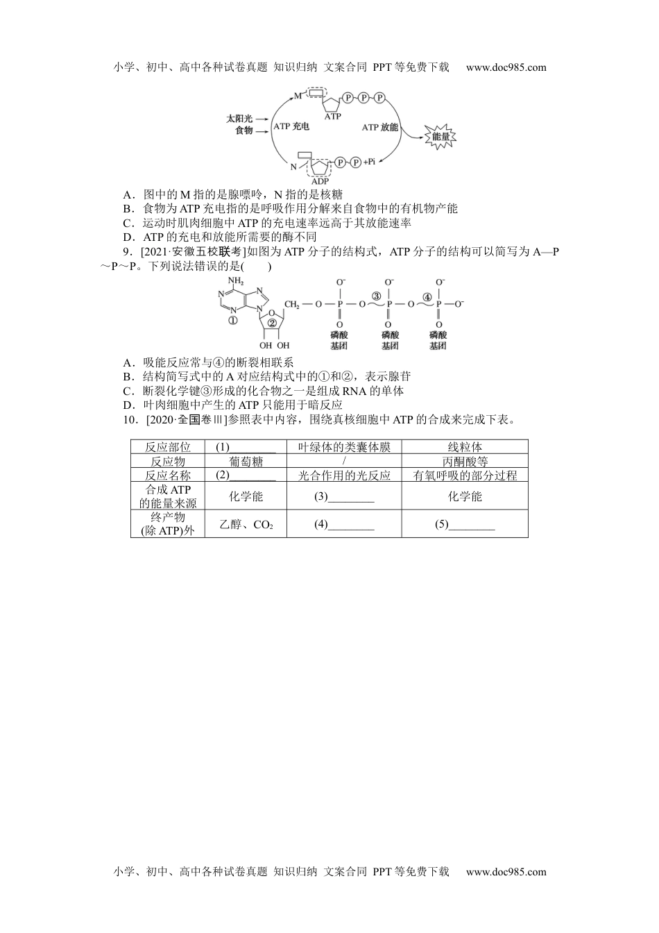 高中2022·微专题·小练习·生物【统考版】专练20.docx