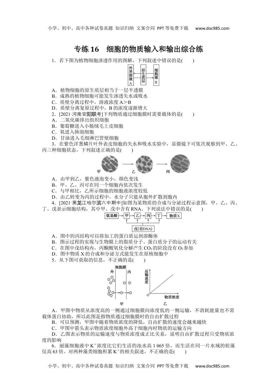 高中2022·微专题·小练习·生物【统考版】专练16.docx