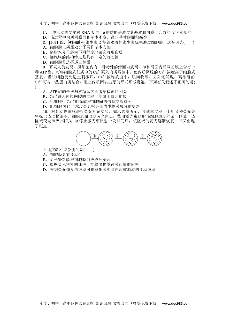 高中2022·微专题·小练习·生物【统考版】专练13.docx