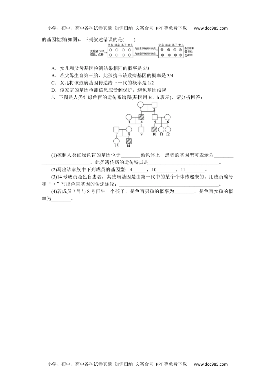 高中2023《微专题·小练习》·生物专练50　人类遗传病图像分析与概率计算.docx