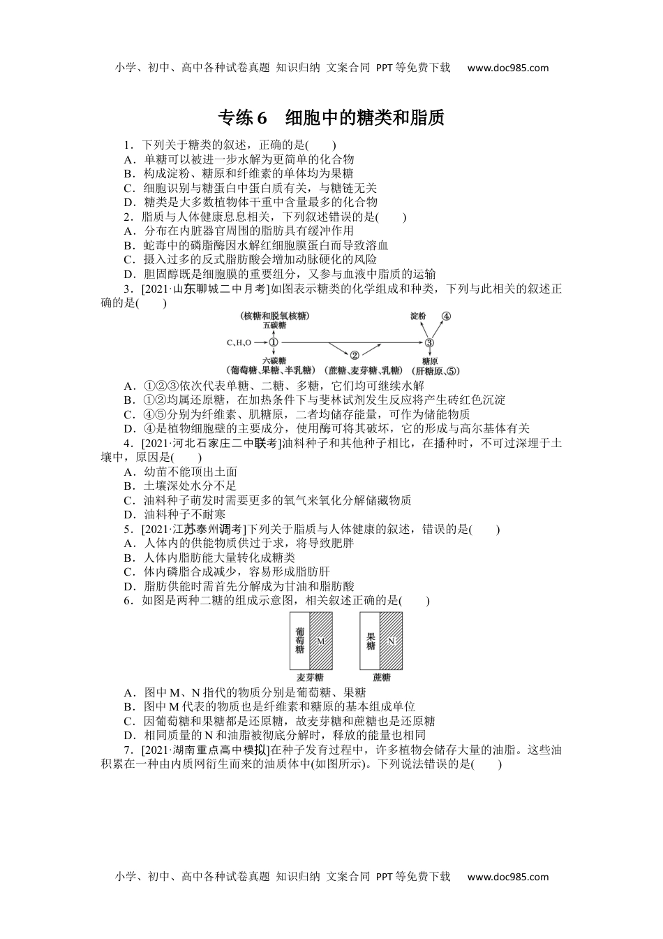 高中2022·微专题·小练习·生物【统考版】专练6.docx