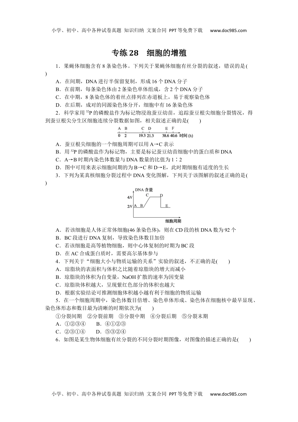 高中2023《微专题·小练习》·生物专练28　细胞的增殖.docx