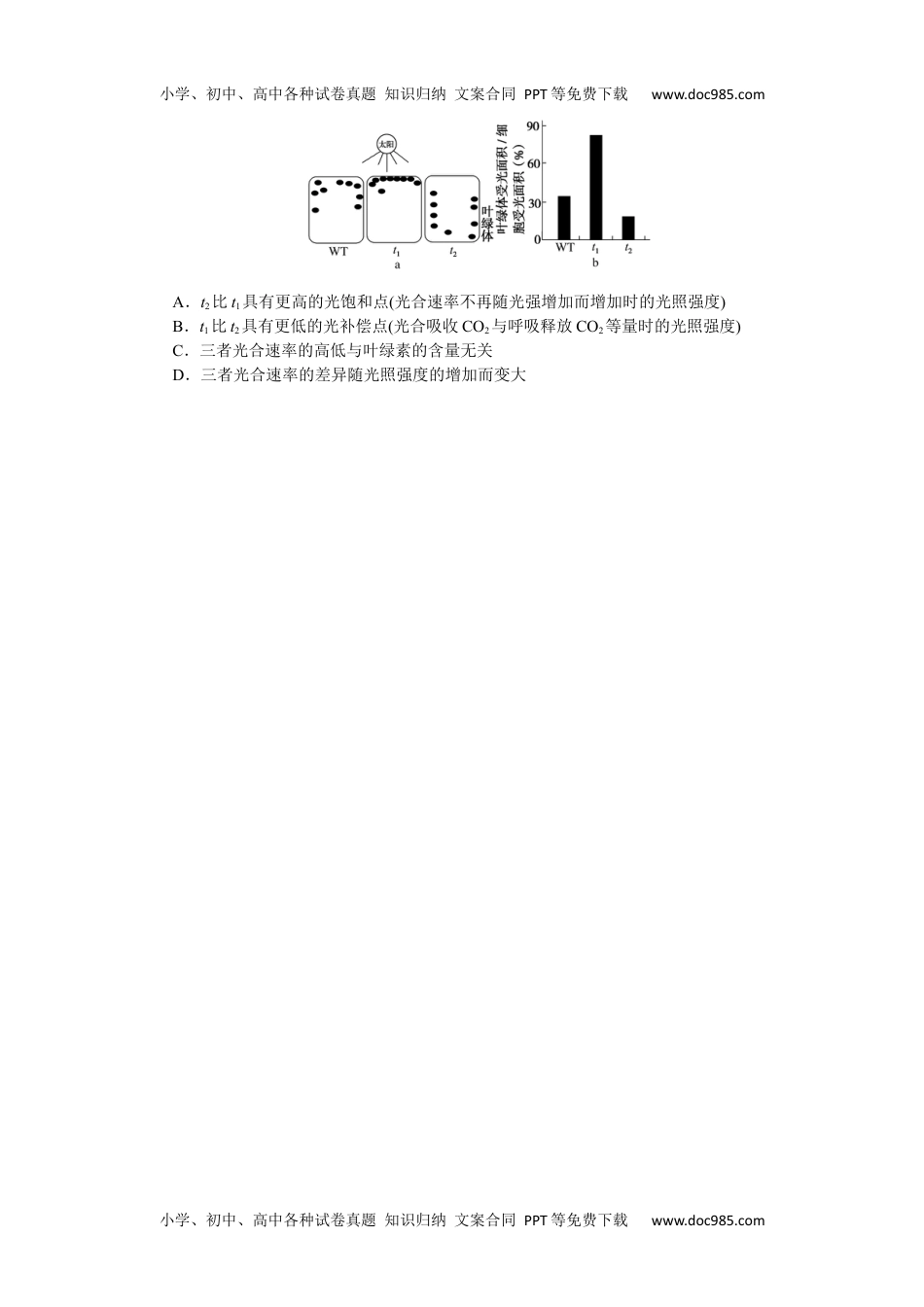 高中2022·微专题·小练习·生物【新高考】专练 28.docx