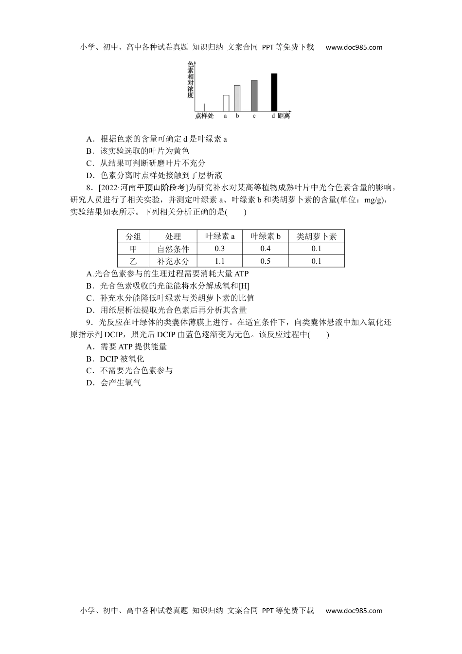 高中2023《微专题·小练习》·生物专练24　捕获光能的色素和结构.docx