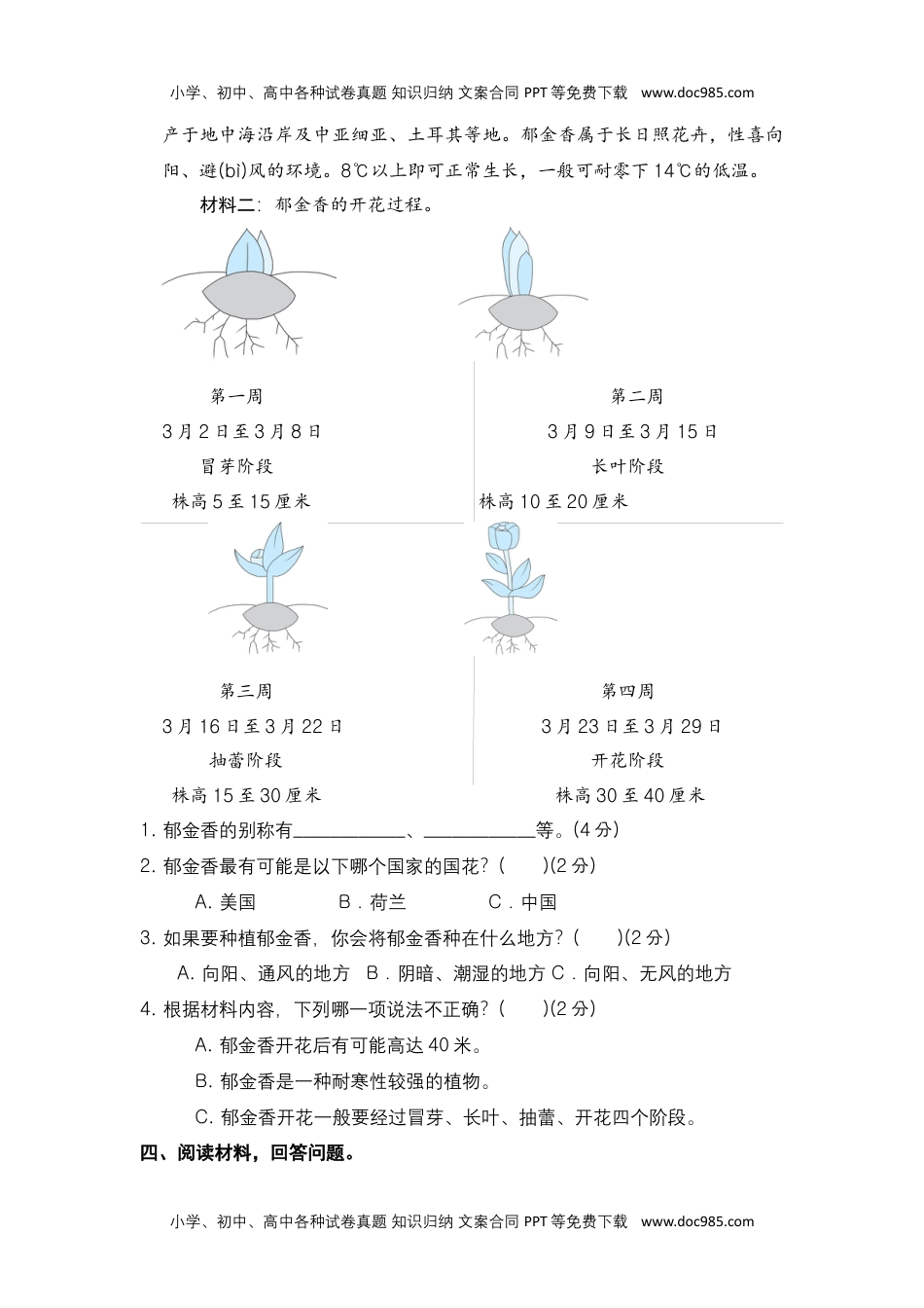 二年级语文下册 期末分类复习 非连续性文本阅读【部编版 含答案】.docx