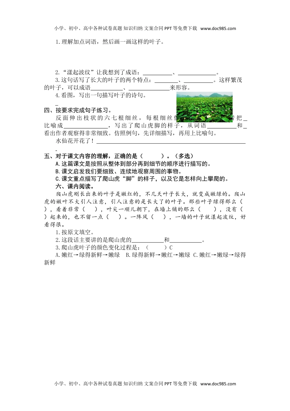 小学语文四年级上册10 爬山虎的脚 (2).doc