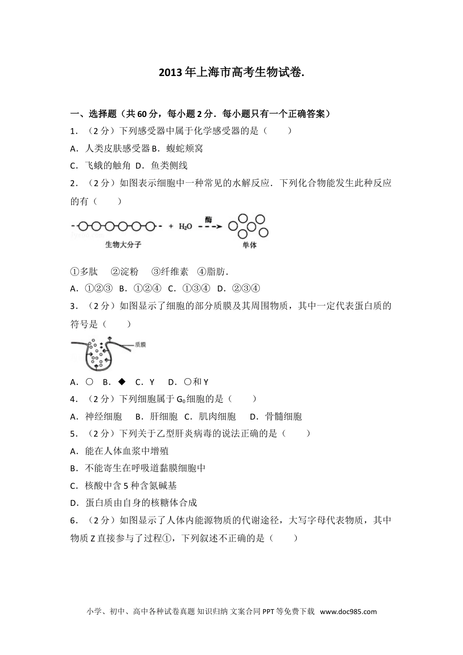 2013年上海市高考生物试卷..doc