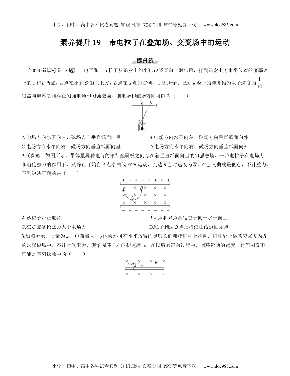 2025版《三维设计》一轮高中总复习 物理（提升版）素养提升19　带电粒子在叠加场、交变场中的运动.docx