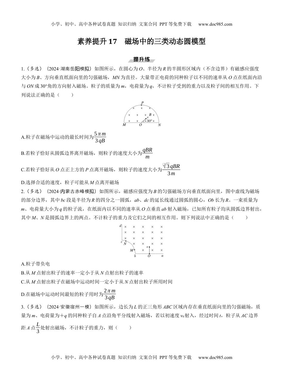 2025版《三维设计》一轮高中总复习 物理（提升版）素养提升17　磁场中的三类动态圆模型.docx